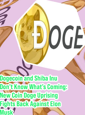 How much is a dogecoin worth